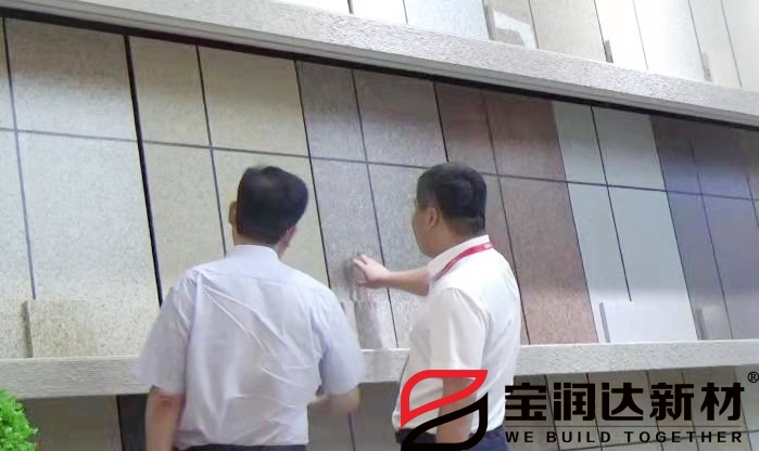 市人大常委會黨組書記劉明亮蒞臨寶潤達(dá)參觀考察